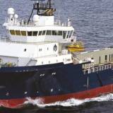 Défenses solides en caoutchouc S